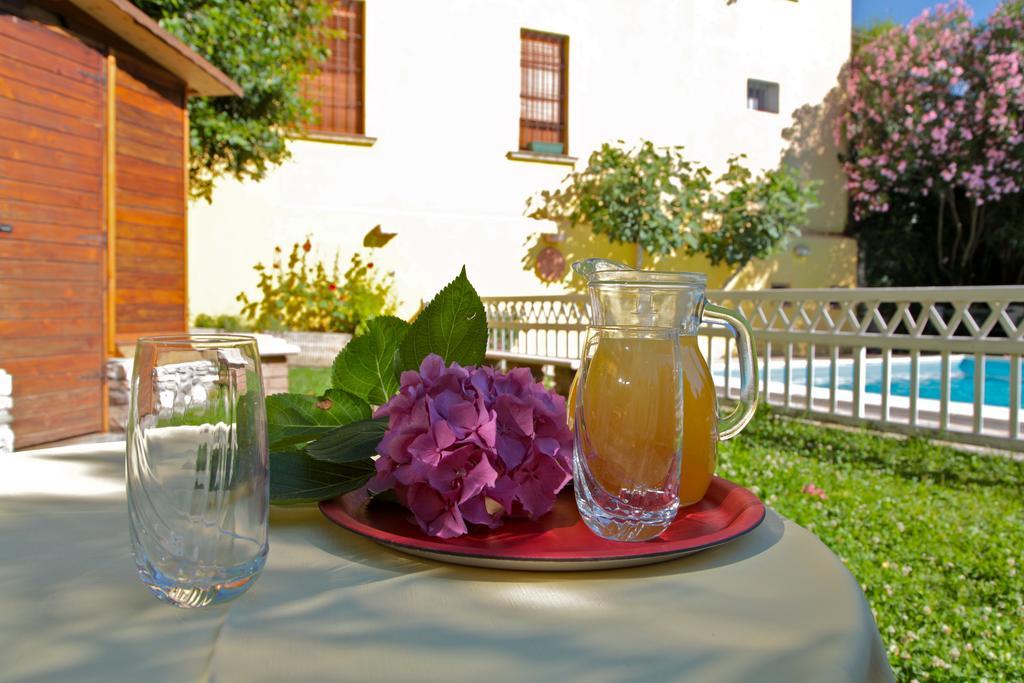 Hotel San Filis San Felice del Benaco Exterior foto